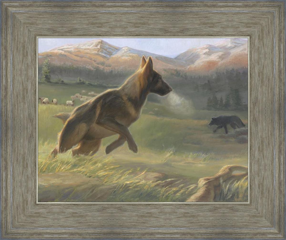 Sheep Dog