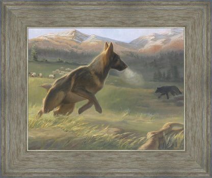 Sheep Dog