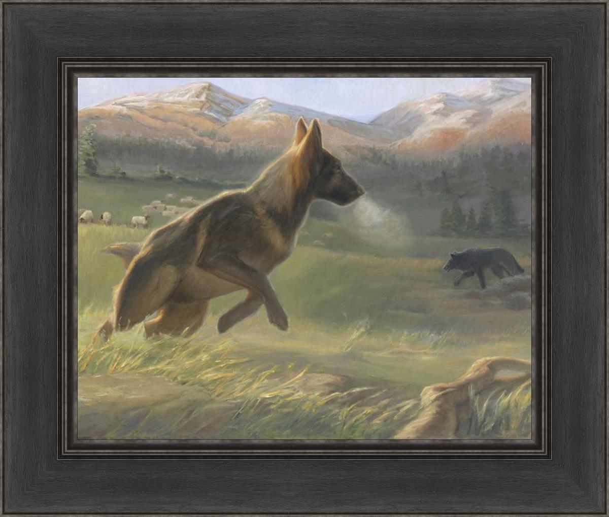 Sheep Dog