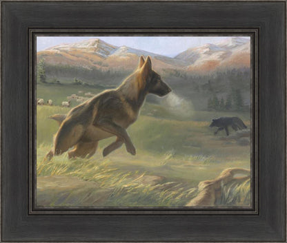 Sheep Dog