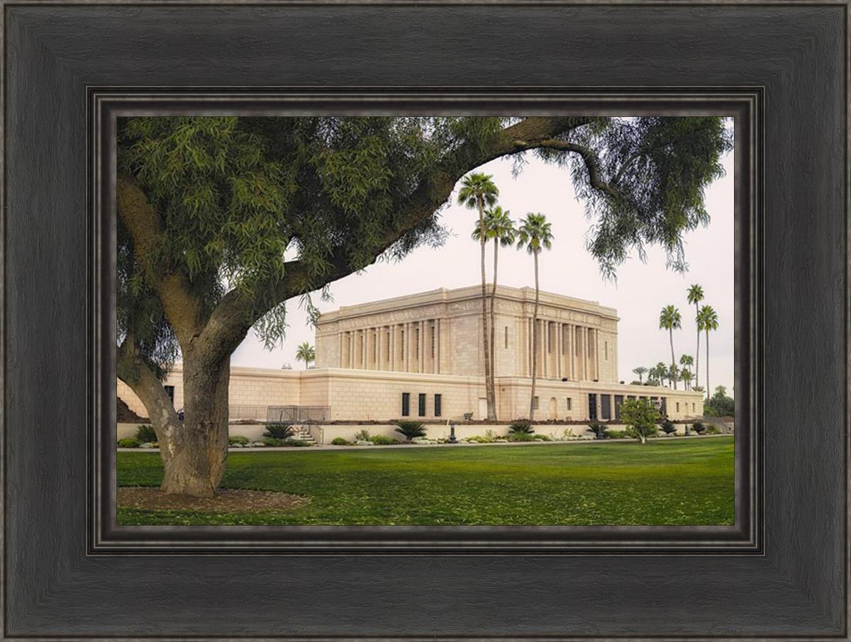 Mesa Temple 09