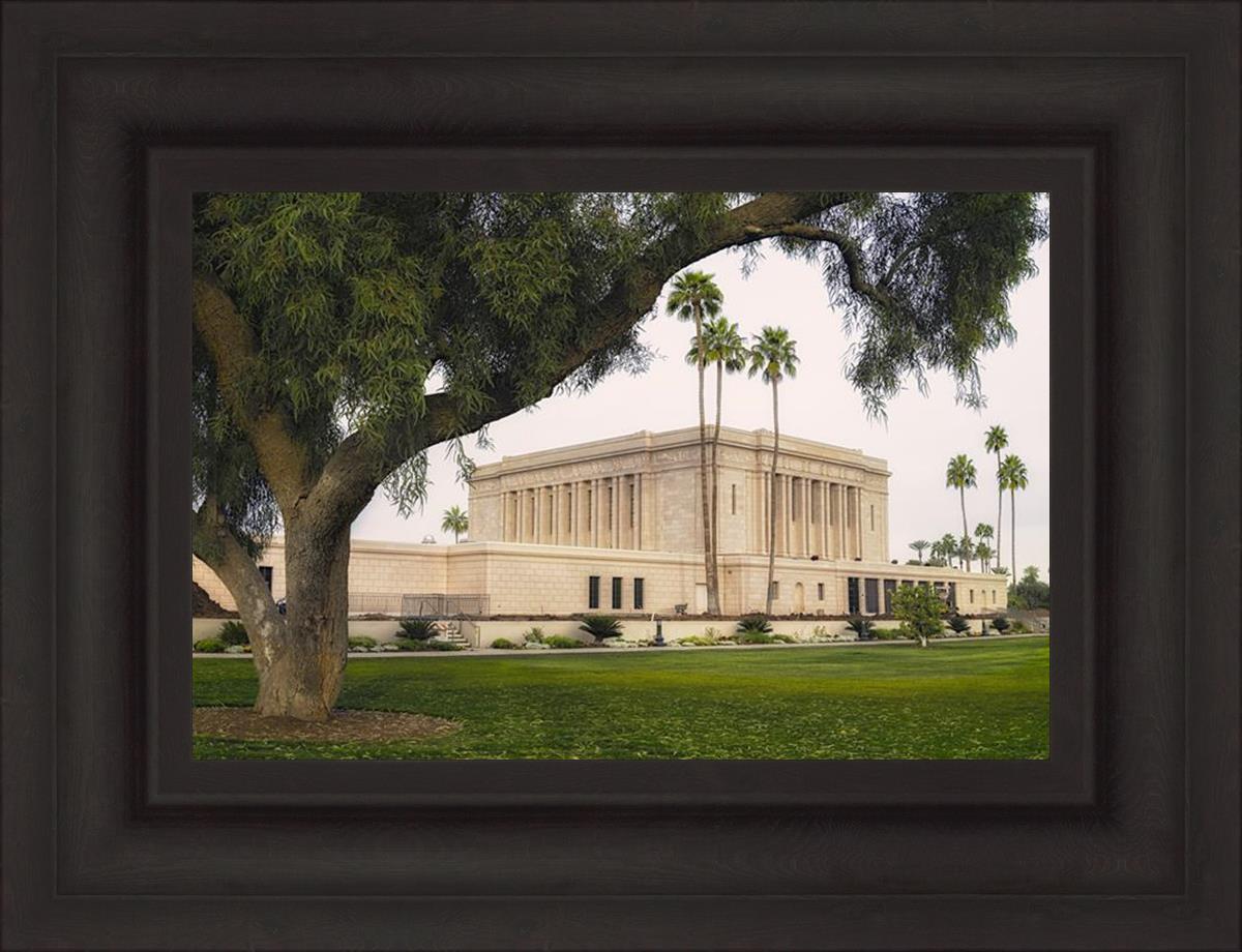 Mesa Temple 09