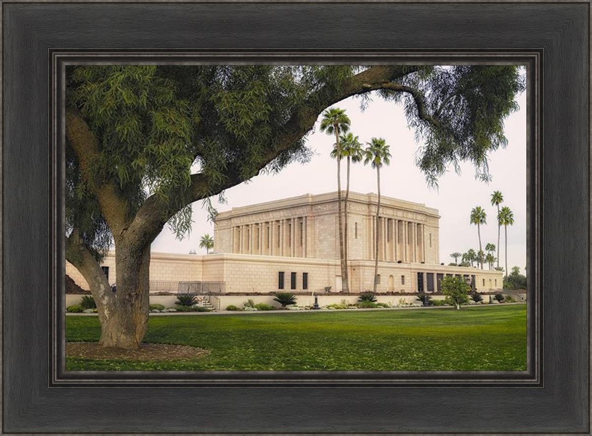 Mesa Temple 09