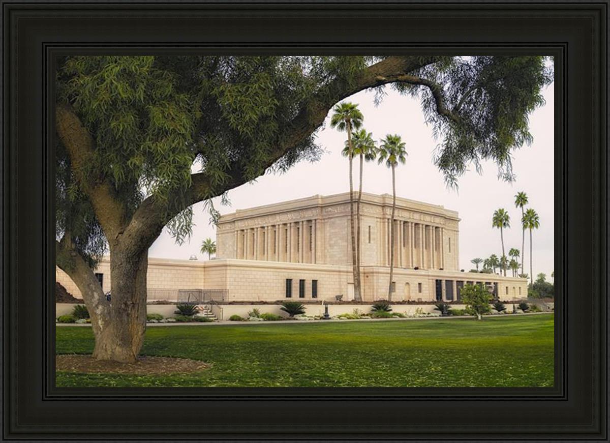Mesa Temple 09