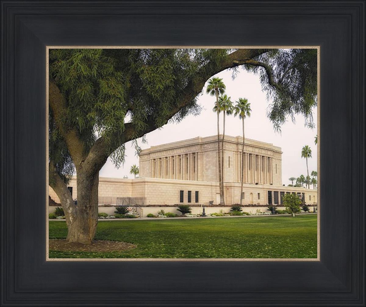 Mesa Temple 09