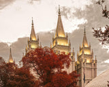 Salt Lake Temple 05