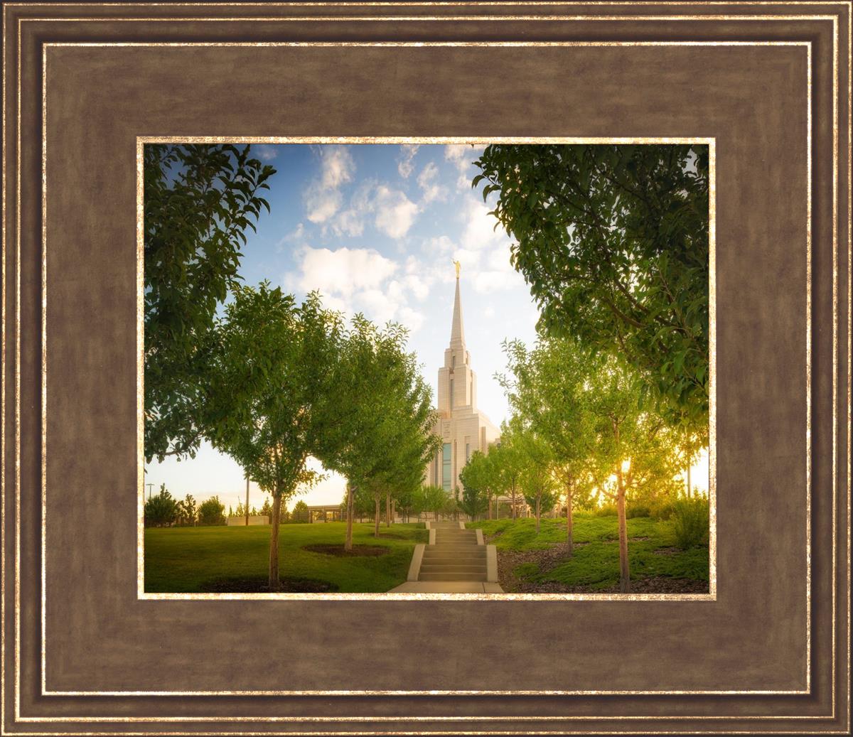 Oquirrh Mountain Golden Glow