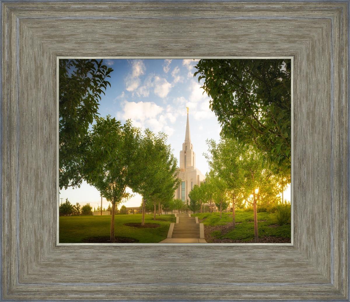 Oquirrh Mountain Golden Glow