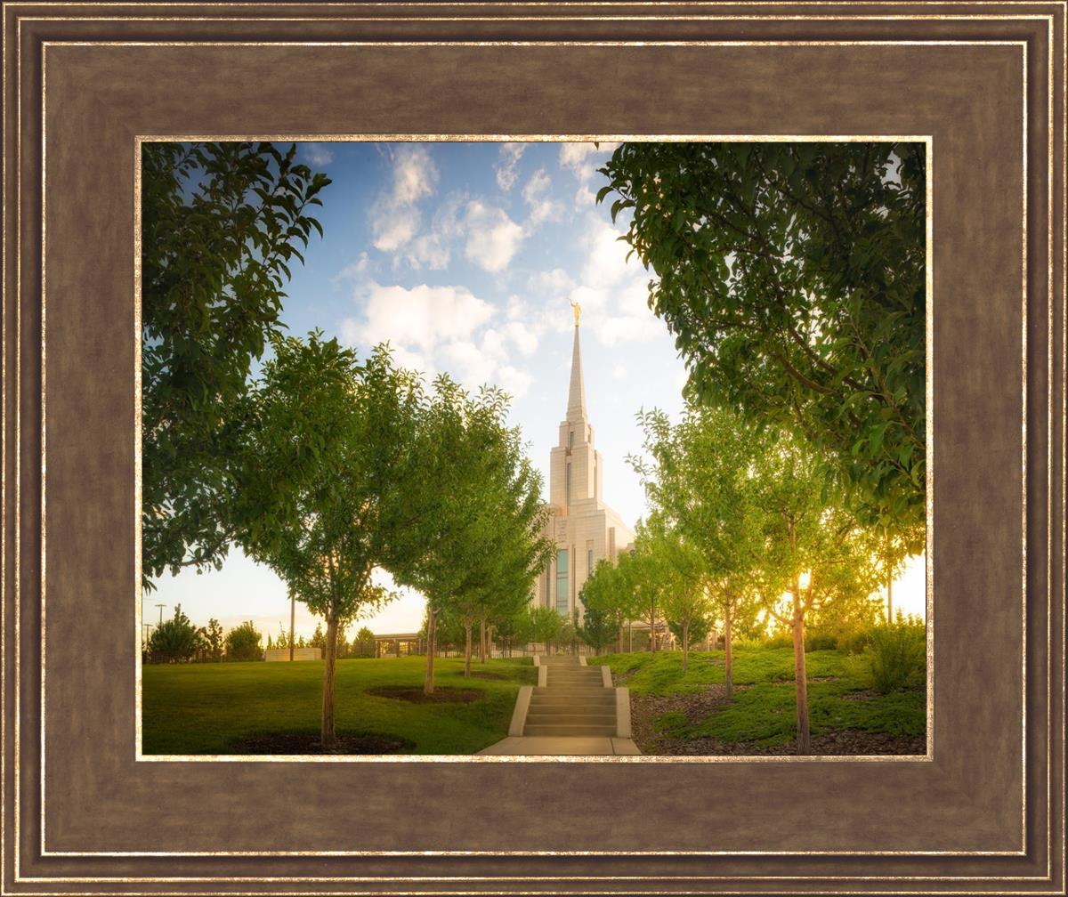 Oquirrh Mountain Golden Glow