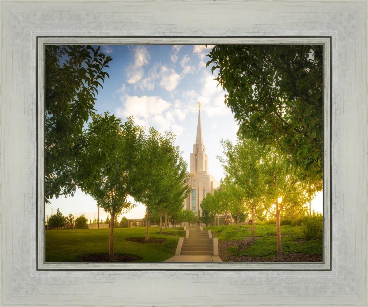 Oquirrh Mountain Golden Glow