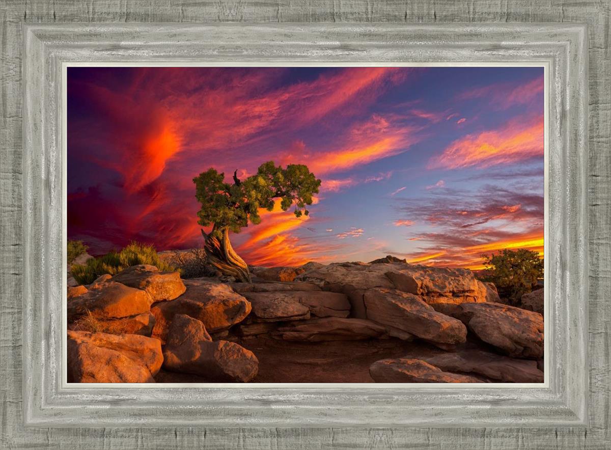 Moab Morning