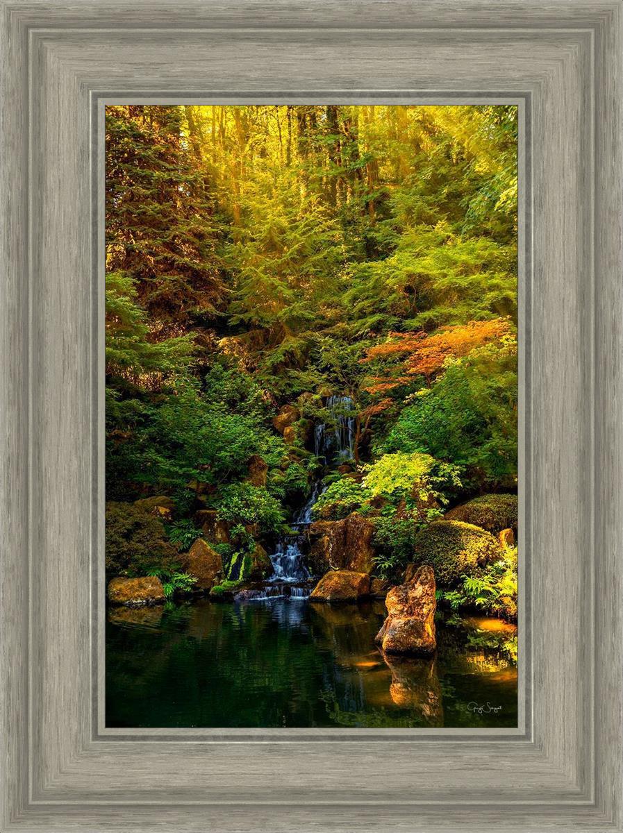 Secluded Pond