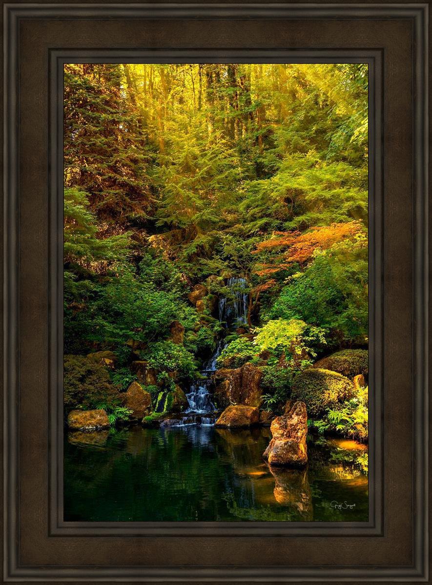Secluded Pond