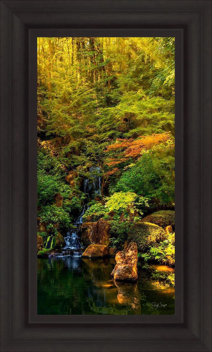 Secluded Pond