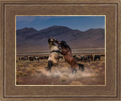Desert Duel