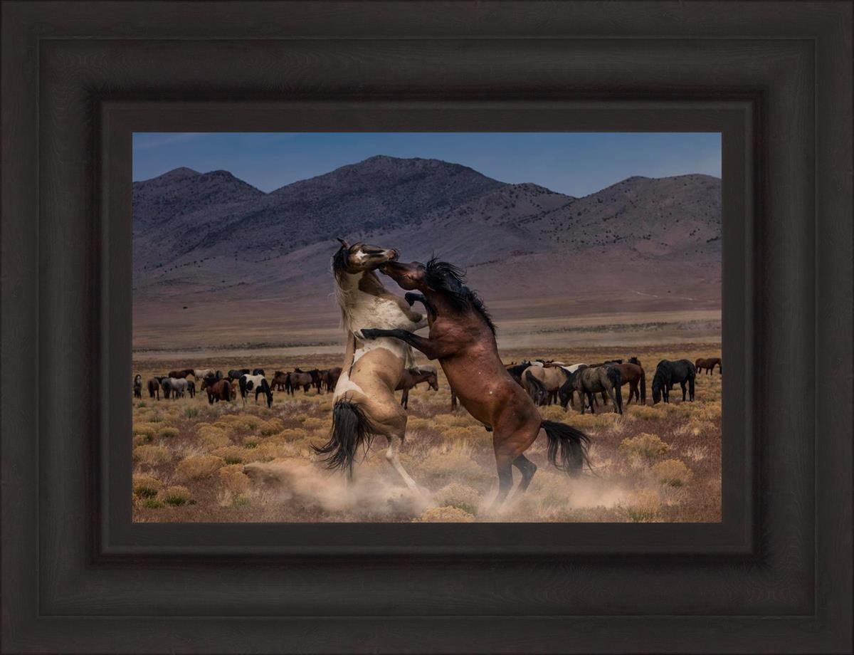 Desert Duel