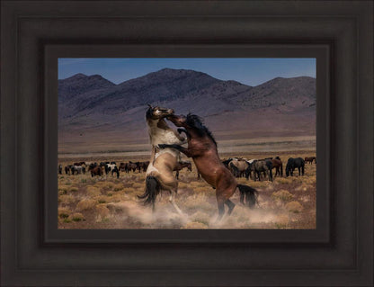 Desert Duel