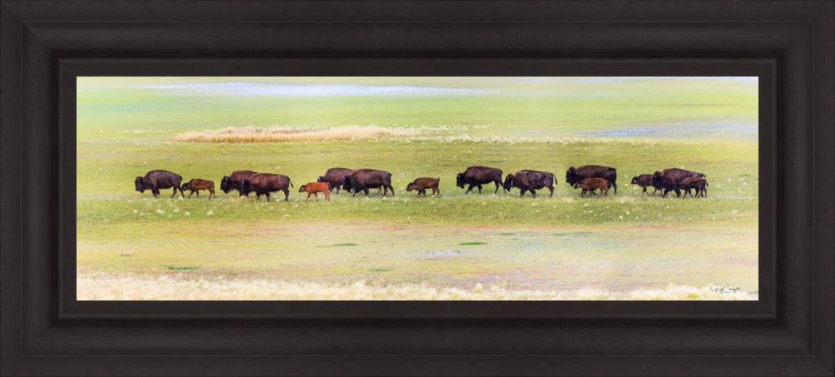 Migration