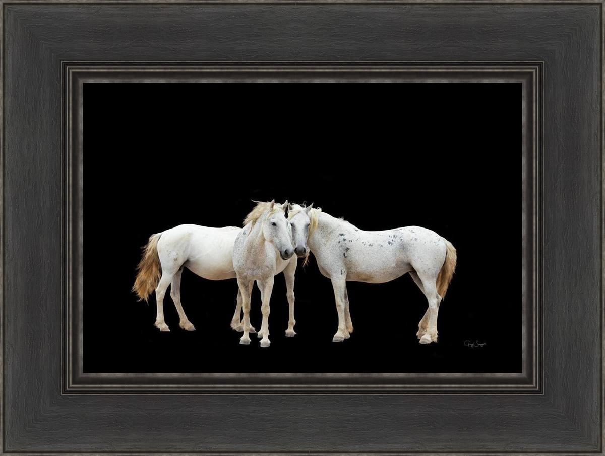 Three White Horses