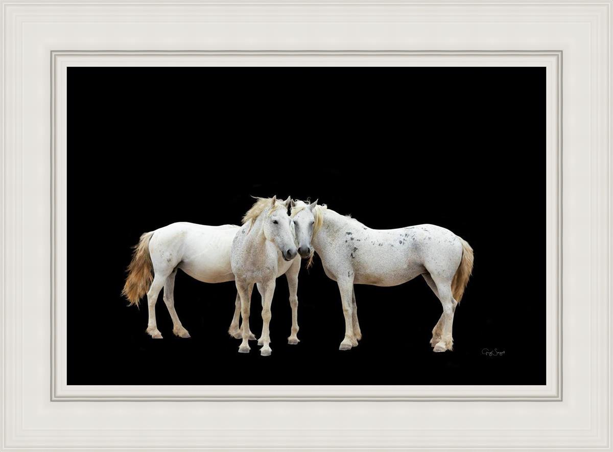 Three White Horses
