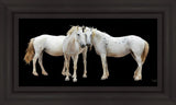 Three White Horses