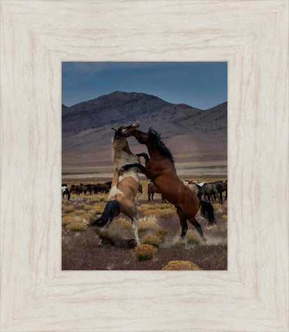 Desert Duel 1