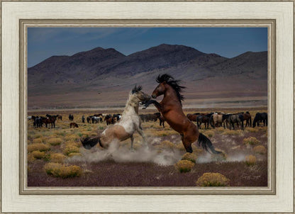 Desert Duel 5
