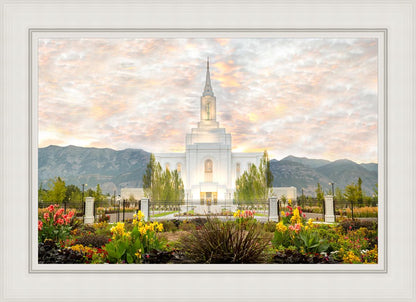 Orem Utah Sunrise Flowers