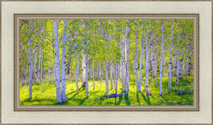 Early Morning Light in the Wasatch Backcountry