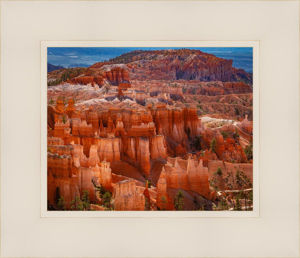 The Hoodoos of Bryce Canyon National Park, Utah
