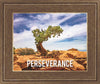 Perseverance Motivisional Poster