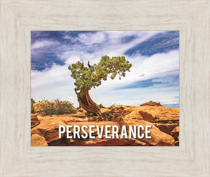 Perseverance Motivisional Poster