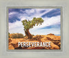 Perseverance Motivisional Poster