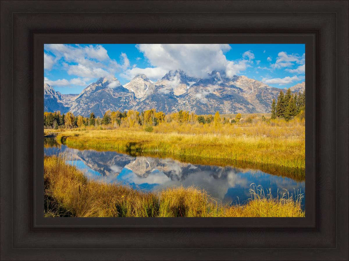 Autumn Splendor