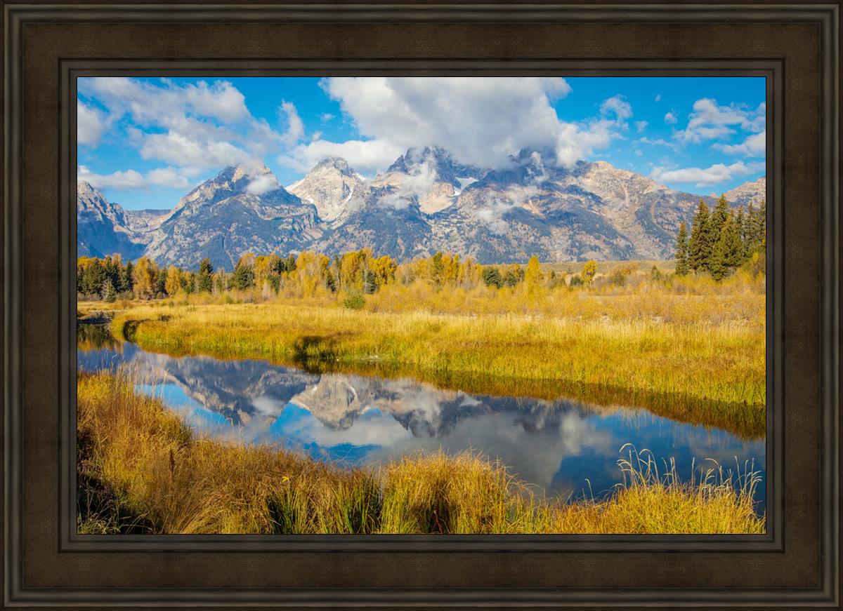 Autumn Splendor