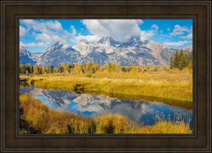 Autumn Splendor