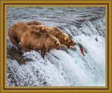 Grizzly Bears Fishing for Salmon at Katmai National Park Brooks Falls, Alaska Large Wall Art