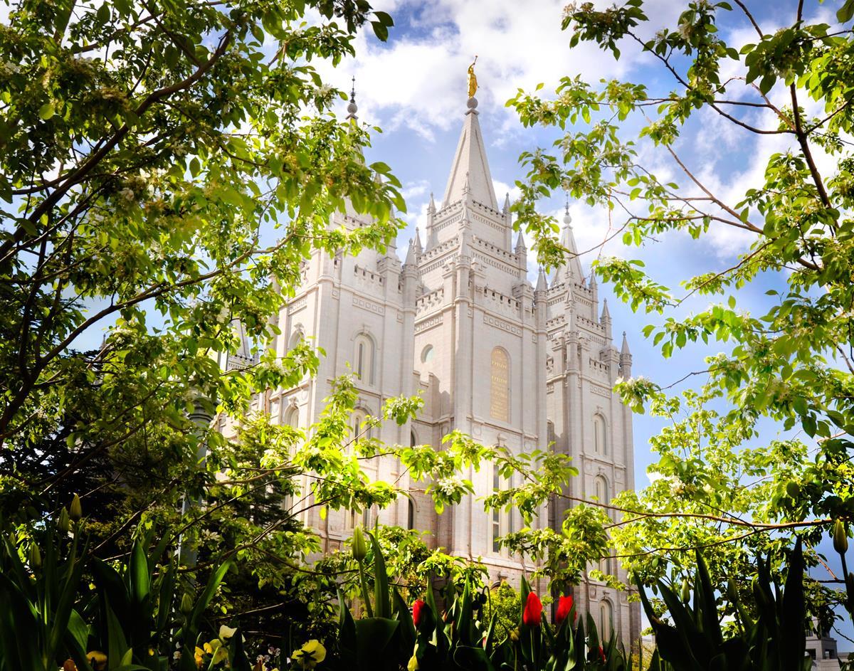 Salt Lake Glimpse of Eternity