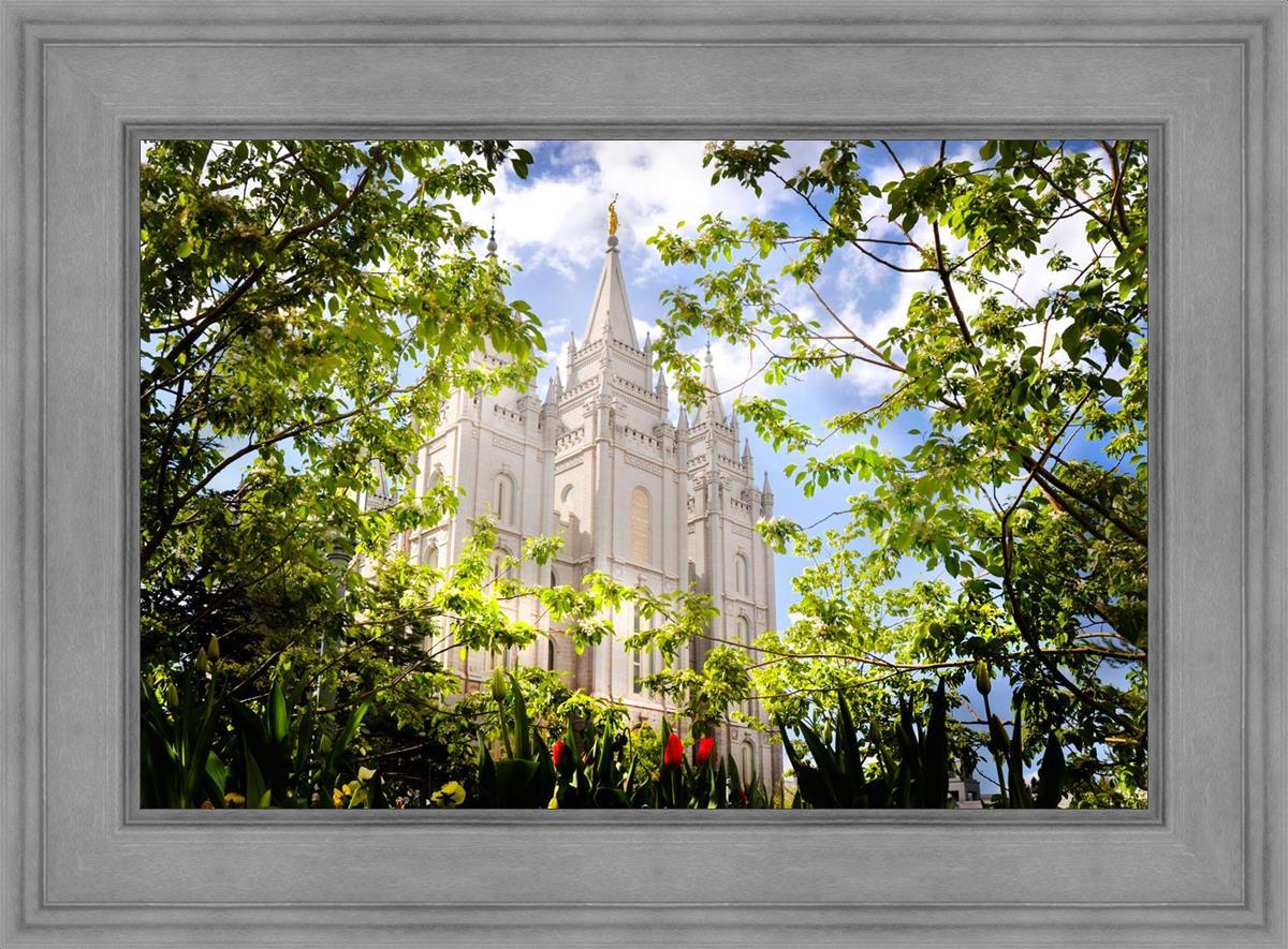 Salt Lake Glimpse of Eternity