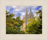 Salt Lake City Temple Autumn Leaves