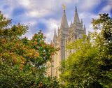 Salt Lake City Temple Autumn Leaves