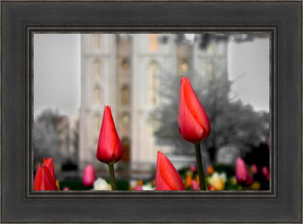 Salt Lake City Temple Beginning Transformation