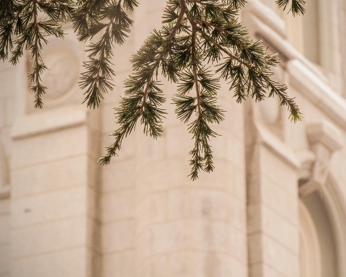Salt Lake City Temple Even The Smallest Details