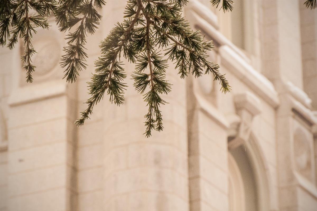 Salt Lake City Temple Even The Smallest Details