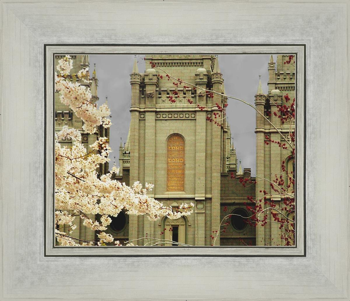 Salt Lake City Temple The Promise