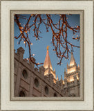 Salt Lake City Temple He Giveth Light