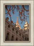 Salt Lake City Temple He Giveth Light