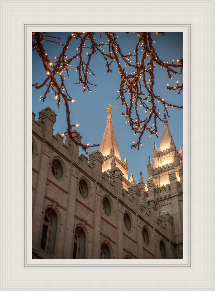 Salt Lake City Temple He Giveth Light