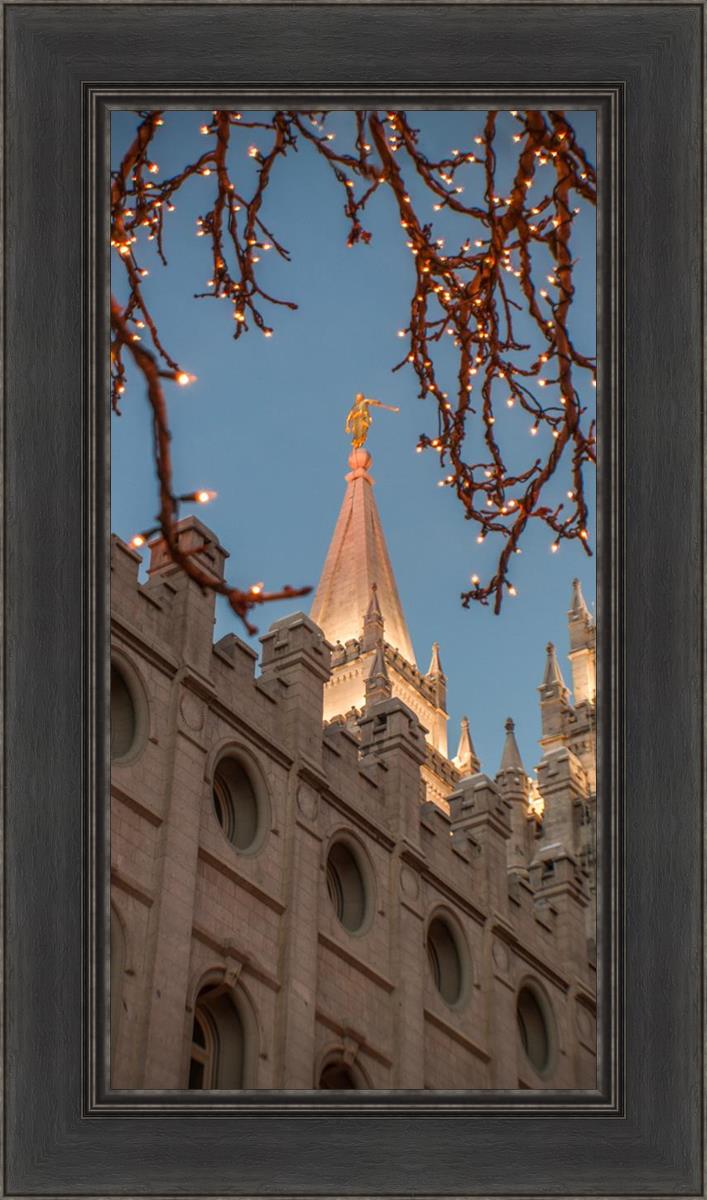Salt Lake City Temple He Giveth Light