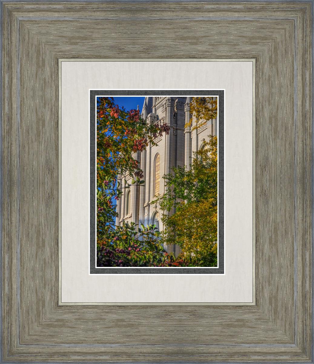 Salt Lake City Temple His Declaration